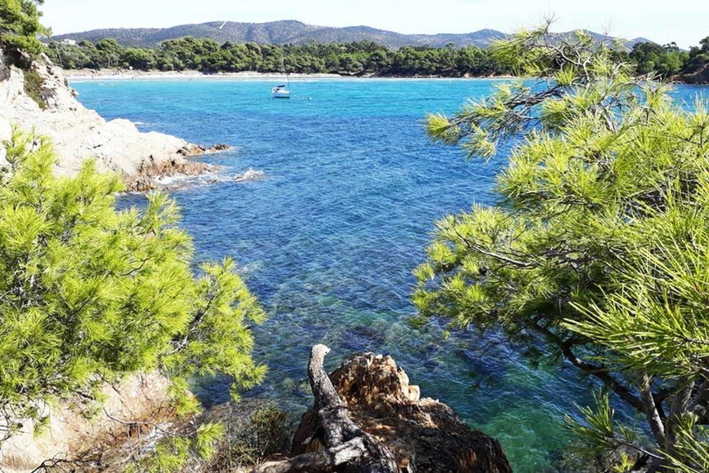 T2 Clim Parking, Entre Nature Et Plage Hyères Eksteriør bilde